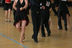 DSCN2619